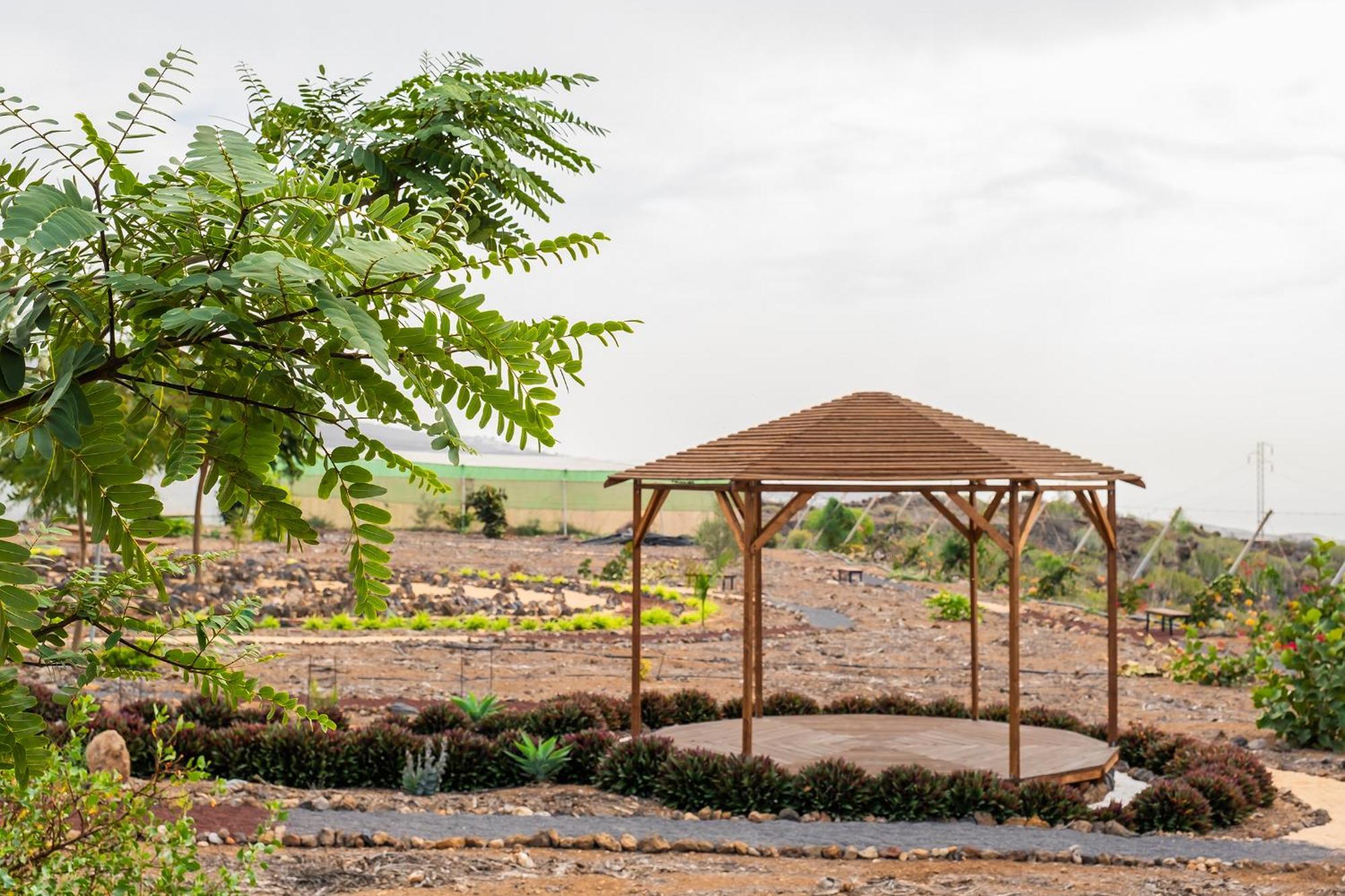 Tenerife Healing Garden Гиа-де-Исора Экстерьер фото