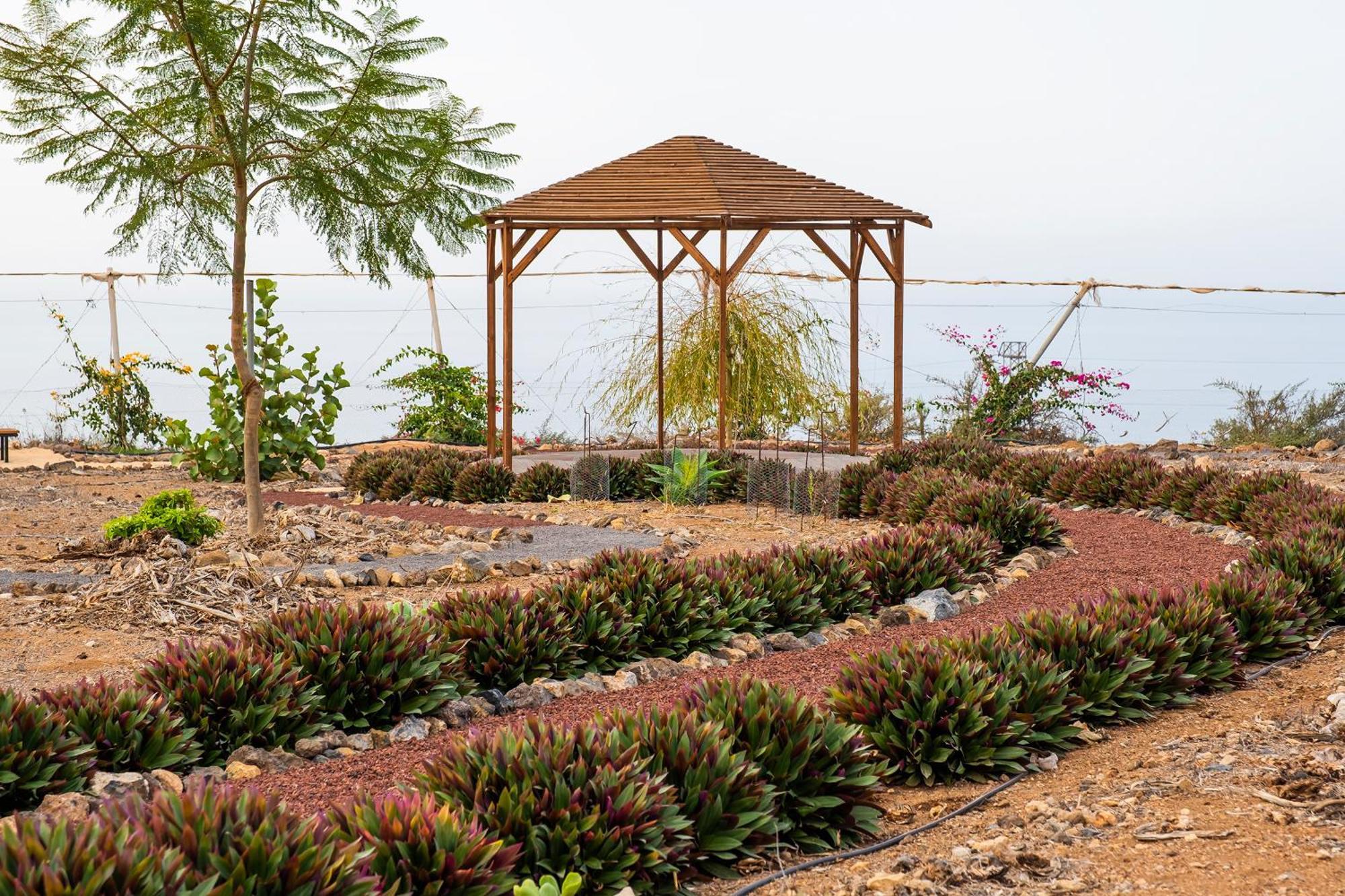 Tenerife Healing Garden Гиа-де-Исора Экстерьер фото
