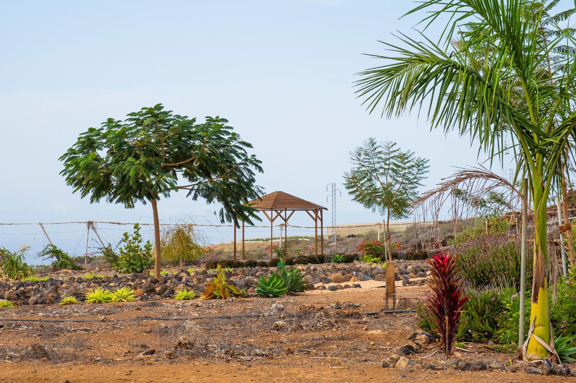 Tenerife Healing Garden Гиа-де-Исора Экстерьер фото