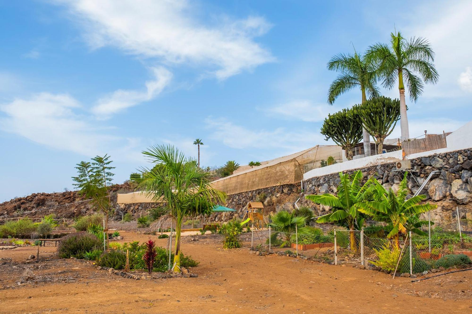 Tenerife Healing Garden Гиа-де-Исора Экстерьер фото